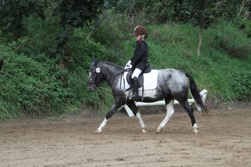 Bild 1152 - WBO-Turnier am 18.9.11